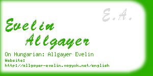 evelin allgayer business card